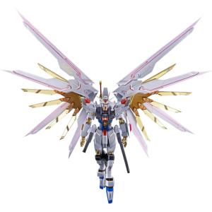 METAL ROBOT魂 ＜SIDE MS＞ マイティーストライクフリーダムガンダム