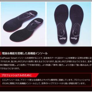 【送料無料】BMZ カルパワースマート ジェッ...の詳細画像5