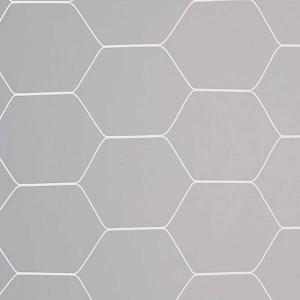 エバニュー 一般サッカーゴールネット 亀甲タイプ S115 ( サッカー フットサル トレーニング用品 ゴール器具 EVERNEW )