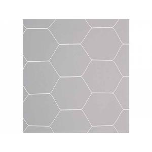 エバニュー 一般サッカーゴールネット 亀甲タイプ S116 EKD842