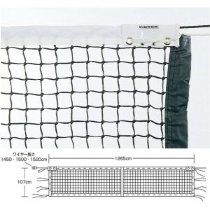 エバニュー 全天候硬式テニスネットT121 EKD871 ( テニス ソフトテニス グッズ アクセサリー 器具 備品 )