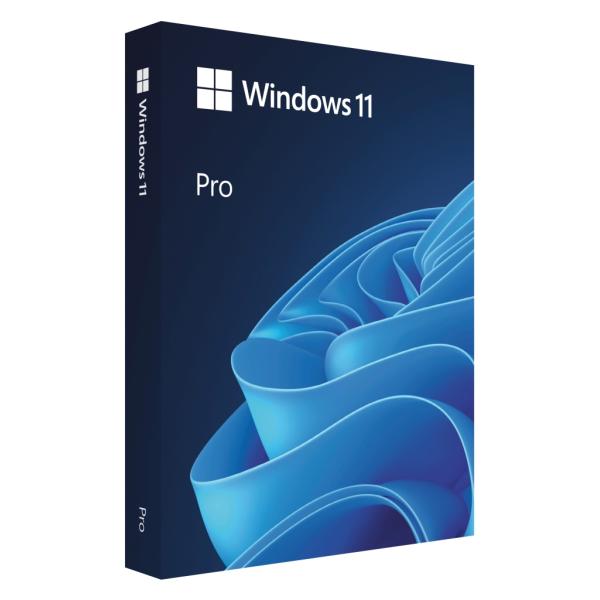 Windows 11 Pro 日本語版 HAV-00213