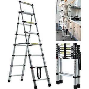 DayPlus 伸縮脚立はしご 最長2.3m 6段+7段 安定 兼用脚立 踏み台