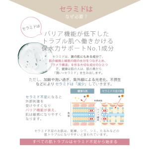 トライアルセット お試しセット ミニサイズ 送...の詳細画像3