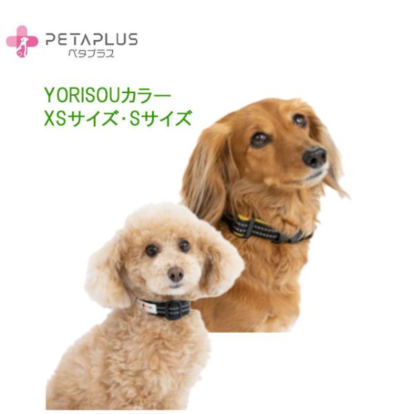 ペタプラスYORISOUカラー／XSサイズ・Sサイズ／色3色　体幹強化に加え血流促進、神経コンディシ...