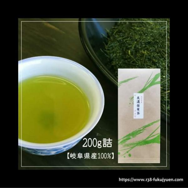 美濃揖斐茶 煎茶  200g詰