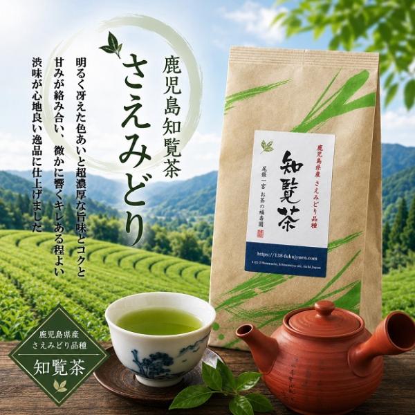 鹿児島知覧茶 さえみどり 100g詰