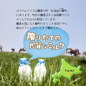 北海道 アイスクリーム ギフト カウベルアイス...の詳細画像1