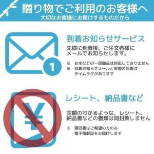 チーズ メゾン・ドゥ・ピエール ナチュラルチー...の詳細画像4