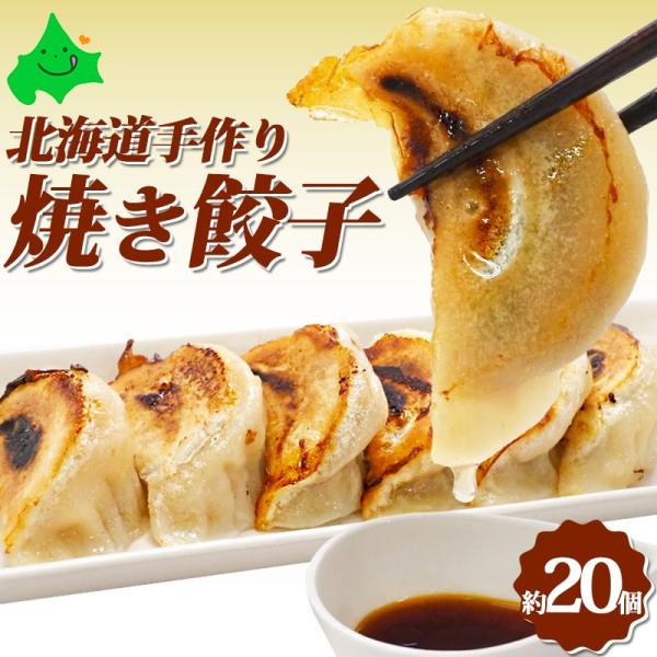 北海道 手作りぎょうざ 餃子 約20個 500g 送料無料 焼くだけ 程よいニンニク感 お取り寄せ ...