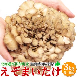 舞茸 えぞ まいたけ 3kg（5〜6株）蝦夷舞茸 無農薬 北海道産 厚沢部町 送料無料 国産 きのこ マイタケ キノコ 北海道 野菜 お取り寄せ 無農薬野菜｜156