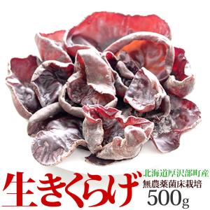 きくらげ 生 国産 500g 北海道産 生きくらげ 送料無料 無農薬 ビタミンD 菌床 栽培 キクラゲ 冷蔵 お取り寄せ 食物繊維 しゃぶしゃぶ 天ぷら わさび醤油