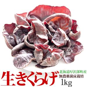 生 きくらげ 国産 1kg 北海道厚沢部町産 無農薬 ビタミンD