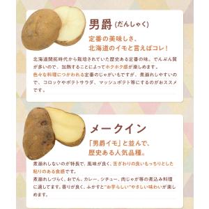 じゃがいも 食べくらべ 北海道産 6種各500...の詳細画像4