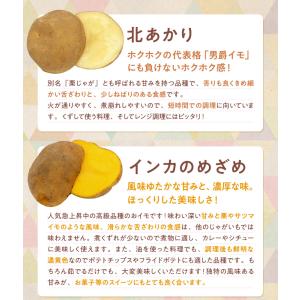 じゃがいも 食べくらべ 北海道産 6種各500...の詳細画像5