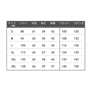 任天堂 スーパーマリオ ルイージ コスチューム...の詳細画像3