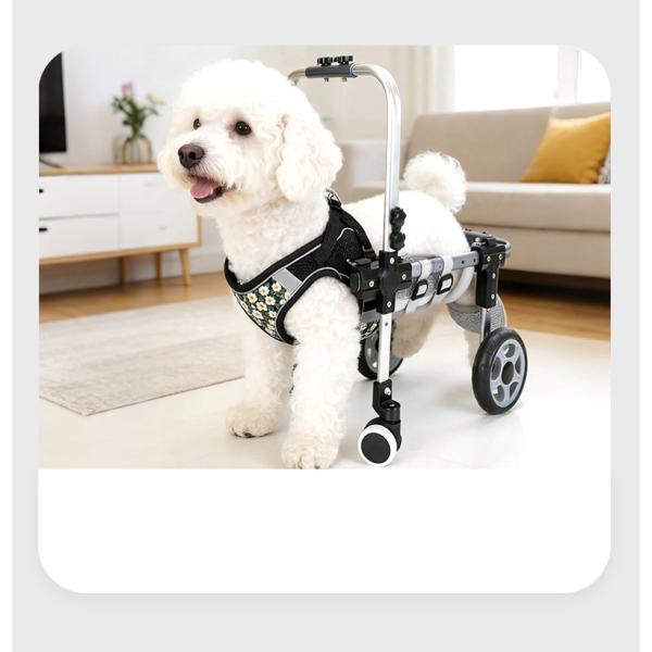 ペット用車いす 4輪/2輪 軽量アルミニウム合金 フルサポート 犬猫用 リハビリカート 調節可能 ブ...