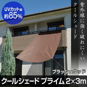 タカショー クールシェード プライム ブラッシュウッド 2×3m 【5年間の安心保証】 遮光 日除け