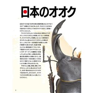 7月10発送ビークワ100号新刊ポイント倍!B...の詳細画像2