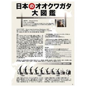 7月10発送ビークワ100号新刊ポイント倍!B...の詳細画像4