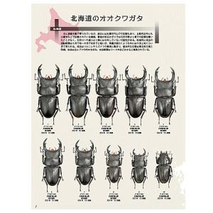 7月10発送ビークワ100号新刊ポイント倍!B...の詳細画像5