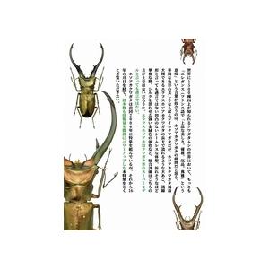 代引き不可!【絶版】ビークワ83号 送料無料!...の詳細画像3