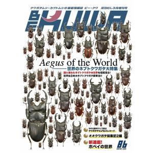 絶賛発売中！2023年ビークワカレンダープレゼント！　代引き不可！ビークワ86号　！