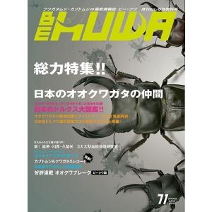 絶版！送料無料【絶版】ビークワ71号　BE-KUWA71号　