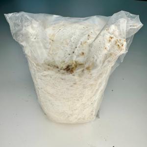 ニクウスバ産卵棒★直径は約直径11cm長さ14ｃｍ オオクワガタ等の産卵に最適!★定休日＝日祝水曜、他