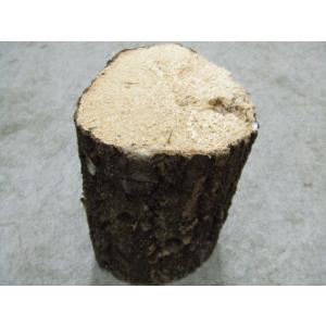 産卵木コナラ【中1本】太さ8cm前後・無農薬★定...の商品画像