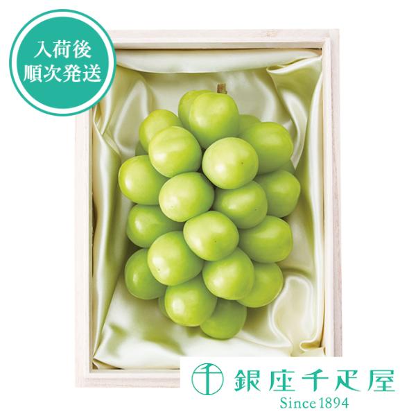 ポイント2倍〜 お中元 夏ギフト フルーツ プレゼント 贈り物 ギフト Gift 銀座千疋屋 シャイ...