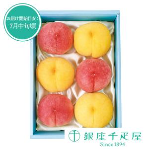 ポイント2倍〜 敬老の日 2026 フルーツ プレゼント 贈り物 ギフト Gift 銀座千疋屋 桃詰合せ(桃・黄桃各3個)　No4｜銀座千疋屋