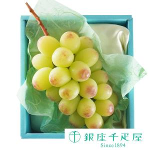 ポイント2倍〜 敬老の日 2026 千疋屋 フルーツ 詰め合わせ お取り寄せ 贈り物 ギフト Gift 銀座千疋屋 昭峰（ぶどう）