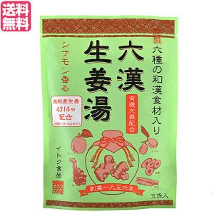 生姜湯 しょうが湯 生姜 六漢生姜湯 5袋入り イトク食品の商品画像