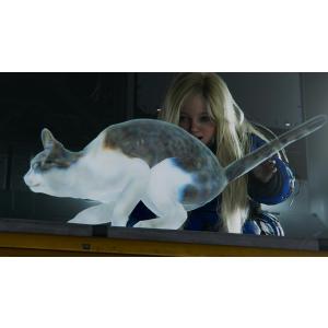 PS5 プラグマタ 通常版(早期購入特典付:ダ...の詳細画像5