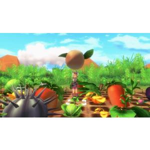 Switch ルーンファクトリー5 プレミアム...の詳細画像5