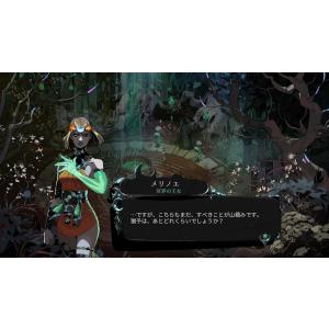 Switch 2 HADES II Ninte...の詳細画像1