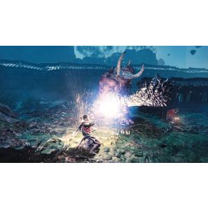 PS5 鬼武者 Way of the Swor...の詳細画像4