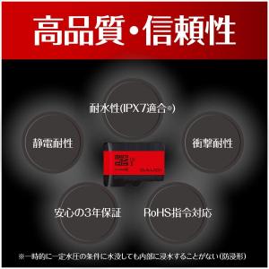 Switch GAUDI microSDHCカ...の詳細画像3