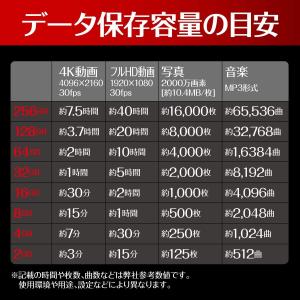 Switch GAUDI microSDHCカ...の詳細画像4