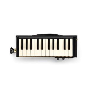 HAMMOND ハモンド PRO-24B 鍵盤ハーモニカ エレアコ バスモデル - 最