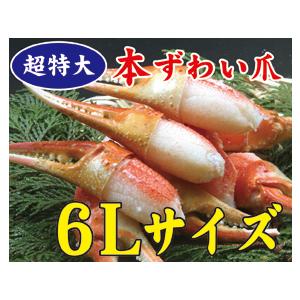 ずわいがに爪　かに爪　ズワイ爪　蟹爪　6Ｌ　11〜15　１kg　超特大　超希少　【送料無料】