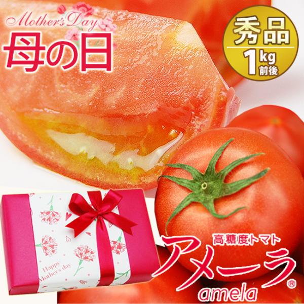 【 ご予約受付中 】 母の日ギフト 静岡県産 アメーラトマト秀品9〜16個 メッセージカード  フル...