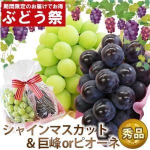 【 ぶどう祭WEEK 発送期間限定特価 】 2色ぶどう セット シャインマスカット ＆ 巨峰 または ピオーネ 敬老の日 内祝 お祝い お礼 見舞い お誕生日