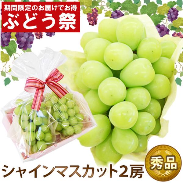 【 ぶどう祭WEEK 発送期間限定特価 】 ラッピング シャインマスカット2房セット 敬老の日 内祝...