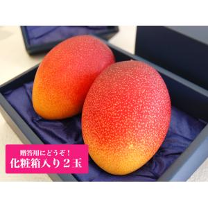 宮崎産樹上完熟マンゴー大玉2Lサイズ 秀品 2個 贈答用化粧箱入り  お祝 お礼 誕生日 内祝 プレ...