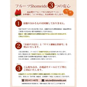 特大4Lサイズ 宮崎産樹上完熟マンゴー特大【秀...の詳細画像3