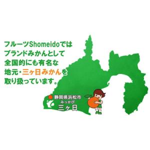 みっかび 三ケ日 青島みかんドロップ × 【 ...の詳細画像1