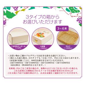 ナガノパープル 1房 秀品 ネットで ぶどう狩...の詳細画像3