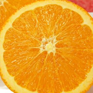 桃やぶどうが入った ASSORTMENT PI...の詳細画像3